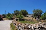 Ikaria